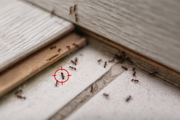 Best Commercial Pest Control Services  in Rutgers University Livingston Campus, NJ
