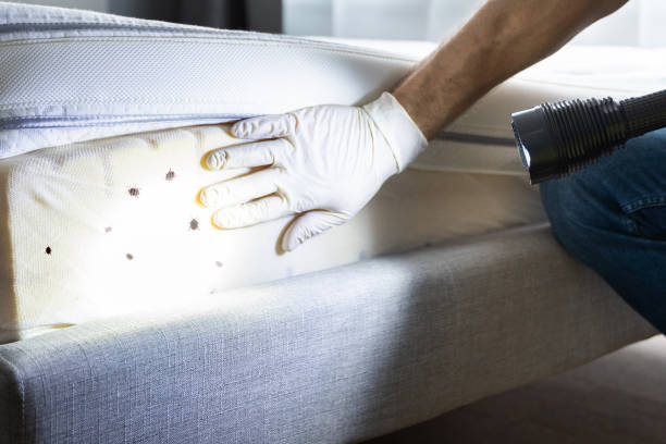 Best Flea Control Services  in Rutgers University Livingston Campus, NJ