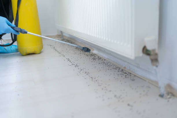 Best Mosquito Control Services  in Rutgers University Livingston Campus, NJ